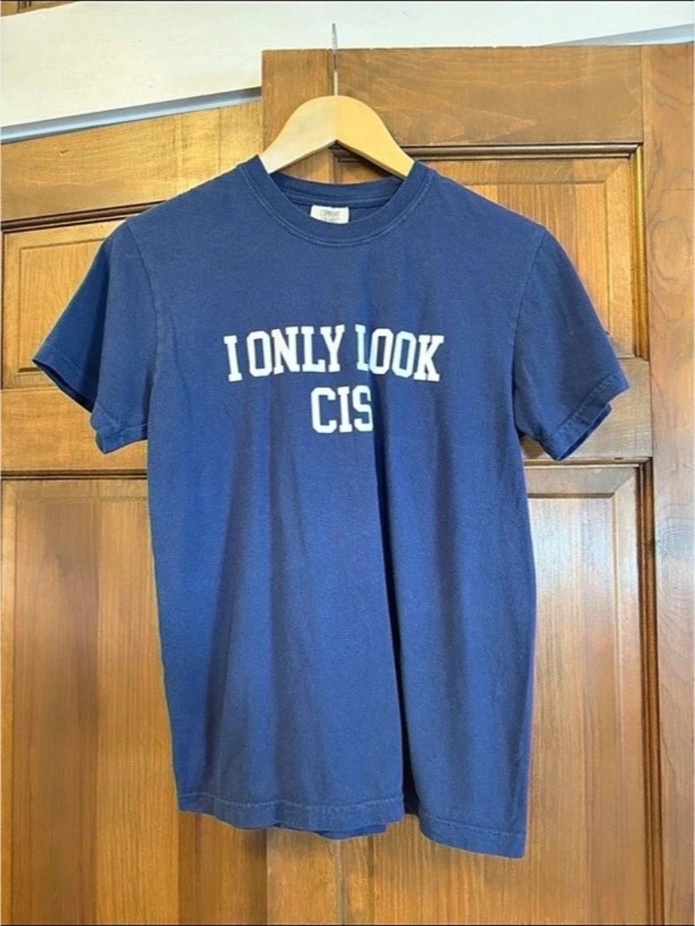Comfort Colors Graphic Tee Blue Small “I ONLY LOOK CIS” unisex shirt lgbtqia tra